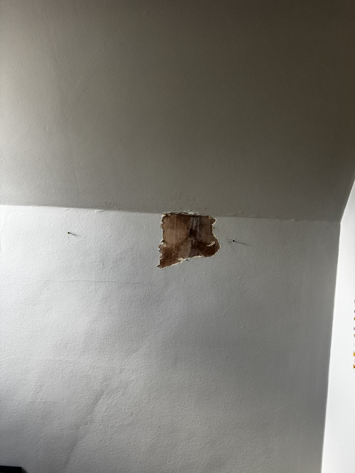 Exposed brown patch at the junction of the stairwell wall and sloping ceiling